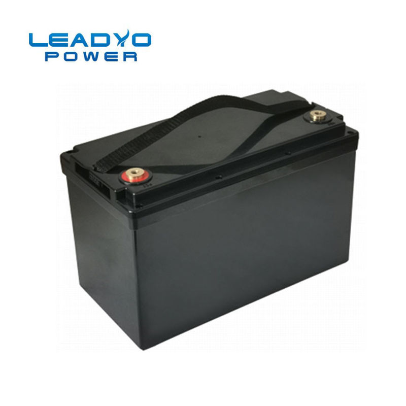 Leadyo Smart BMS Lifepo4 Battery 12V 100ah 1280Wh Black Screwable ABS Case